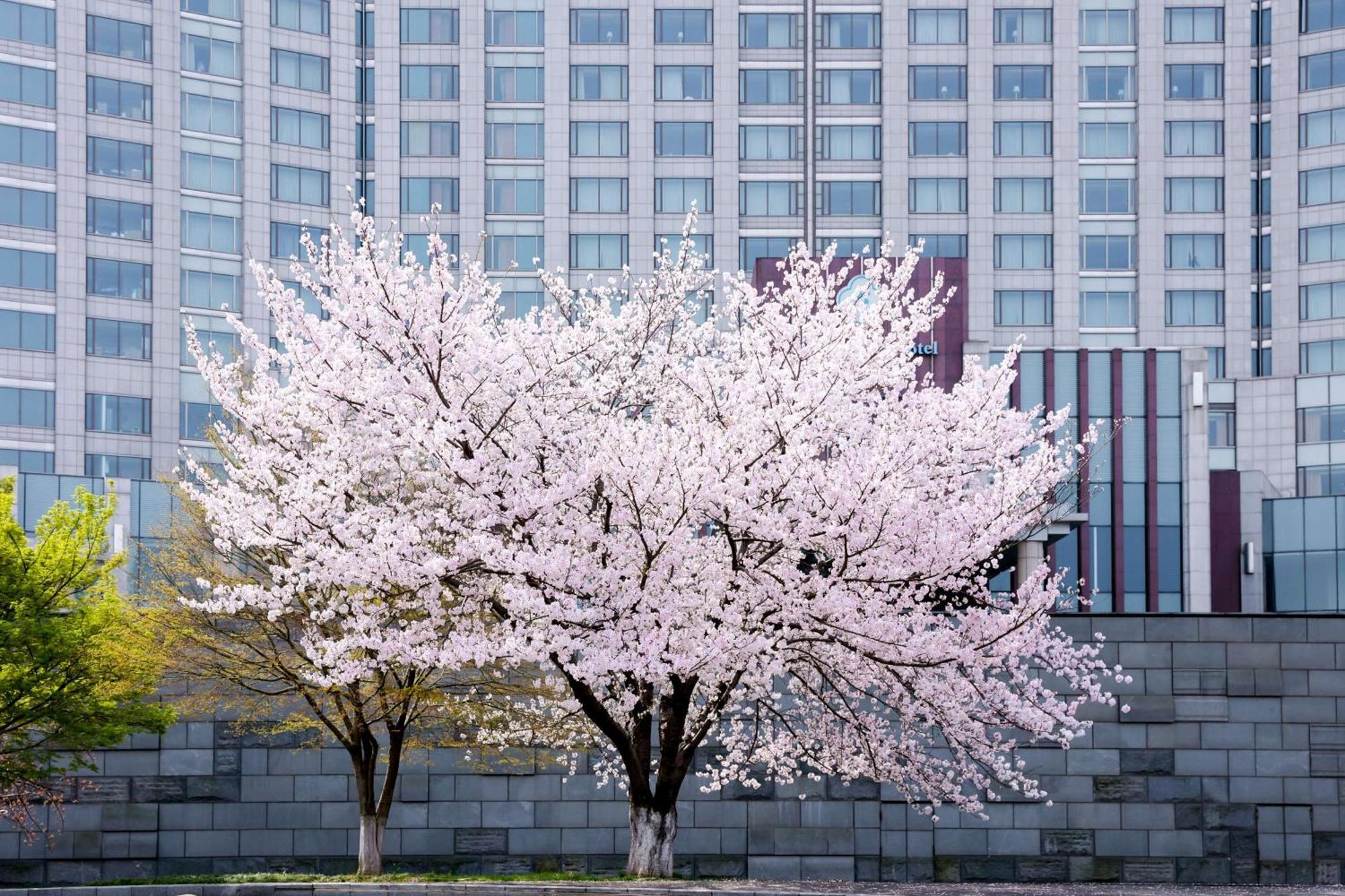 Kempinski Hotel Suzhou Suzhou  Exterior photo